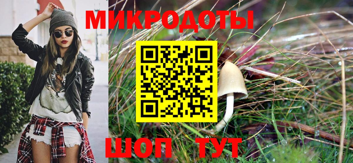 Кизляр  Псилоцибиновые грибы мухоморы  Вход с VPN  Псилоцибиновые грибы Psilocybine cubensis 