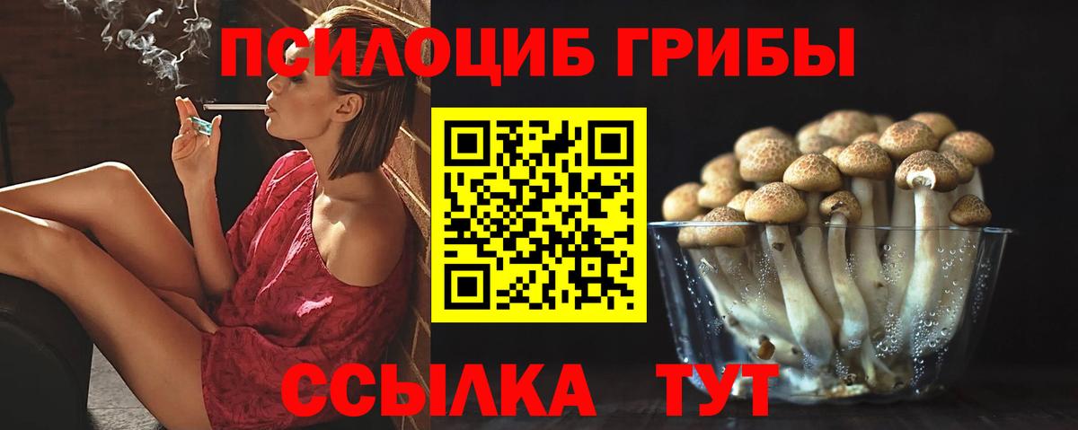 Псилоцибиновые грибы мухоморы Кизляр